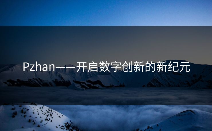 Pzhan——开启数字创新的新纪元