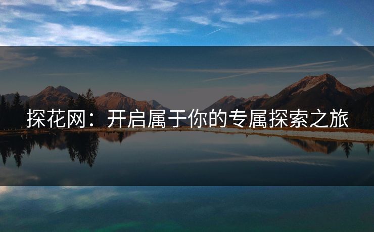 探花网:开启属于你的专属探索之旅